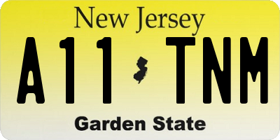 NJ license plate A11TNM