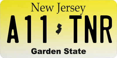 NJ license plate A11TNR
