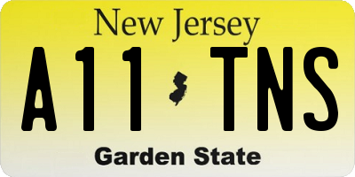 NJ license plate A11TNS