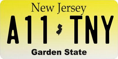 NJ license plate A11TNY