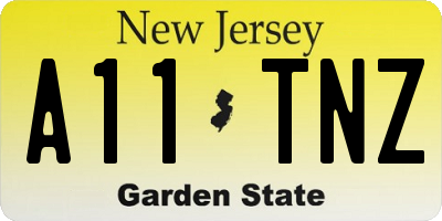 NJ license plate A11TNZ