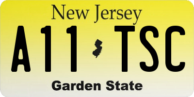 NJ license plate A11TSC