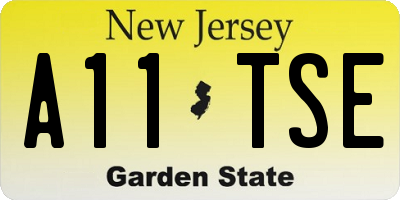 NJ license plate A11TSE