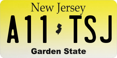 NJ license plate A11TSJ