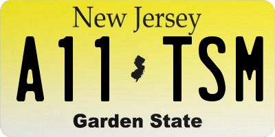 NJ license plate A11TSM