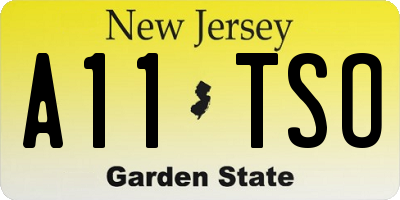 NJ license plate A11TSO