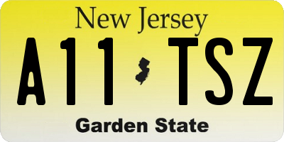 NJ license plate A11TSZ
