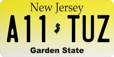 NJ license plate A11TUZ
