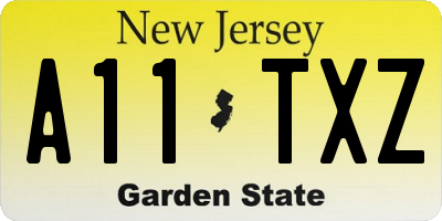 NJ license plate A11TXZ