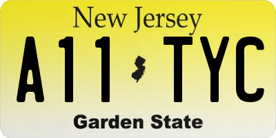 NJ license plate A11TYC