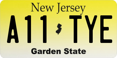 NJ license plate A11TYE