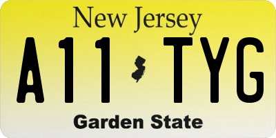 NJ license plate A11TYG