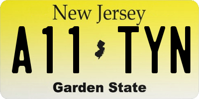 NJ license plate A11TYN
