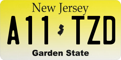 NJ license plate A11TZD