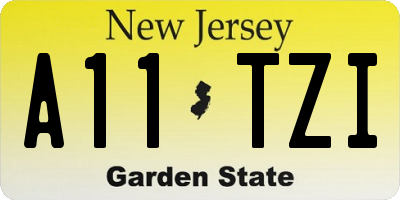 NJ license plate A11TZI