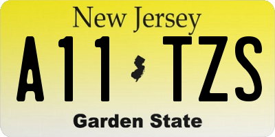 NJ license plate A11TZS