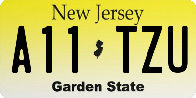NJ license plate A11TZU