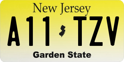 NJ license plate A11TZV