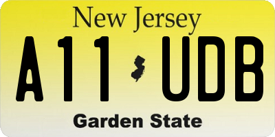 NJ license plate A11UDB