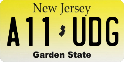 NJ license plate A11UDG