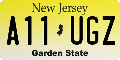 NJ license plate A11UGZ