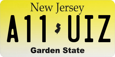 NJ license plate A11UIZ