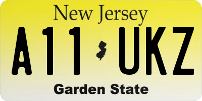 NJ license plate A11UKZ