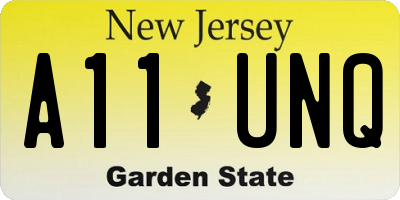NJ license plate A11UNQ
