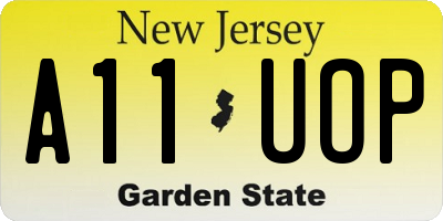 NJ license plate A11UOP