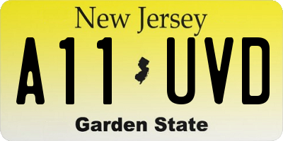 NJ license plate A11UVD