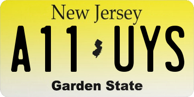 NJ license plate A11UYS