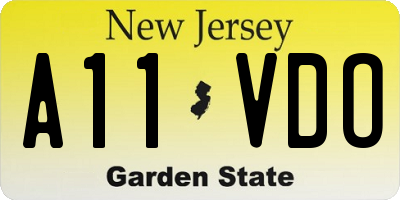 NJ license plate A11VDO