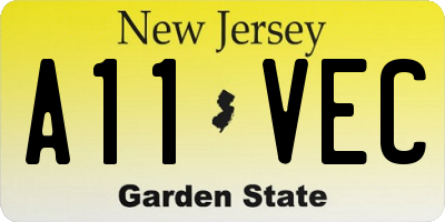 NJ license plate A11VEC