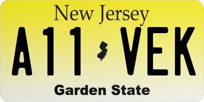 NJ license plate A11VEK
