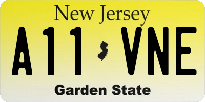 NJ license plate A11VNE