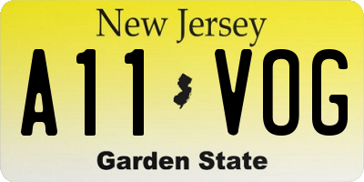 NJ license plate A11VOG