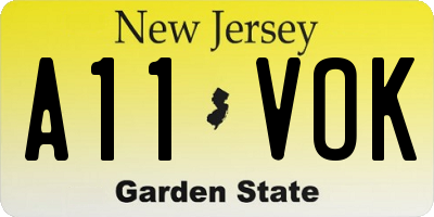 NJ license plate A11VOK
