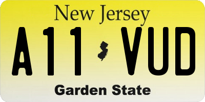 NJ license plate A11VUD