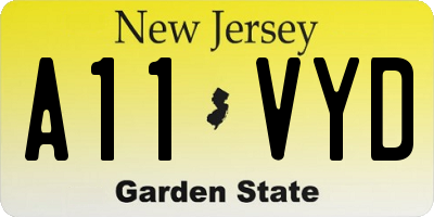 NJ license plate A11VYD