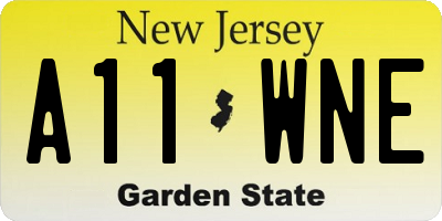 NJ license plate A11WNE