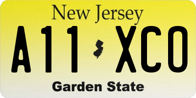 NJ license plate A11XCO