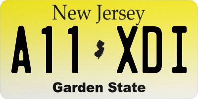 NJ license plate A11XDI