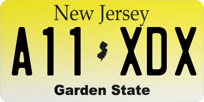 NJ license plate A11XDX
