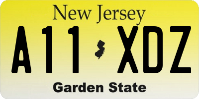 NJ license plate A11XDZ