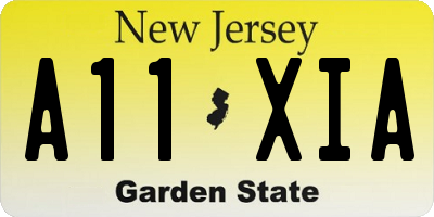 NJ license plate A11XIA