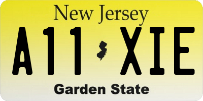 NJ license plate A11XIE