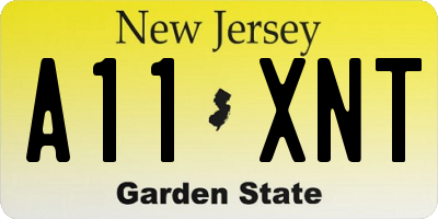 NJ license plate A11XNT