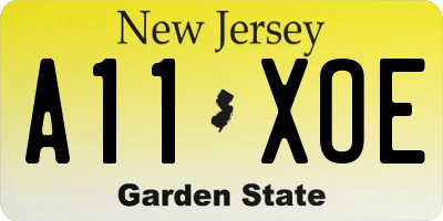 NJ license plate A11XOE