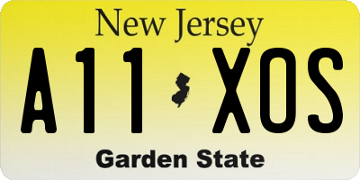 NJ license plate A11XOS