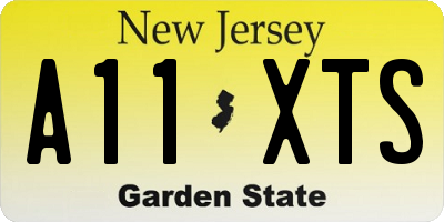 NJ license plate A11XTS